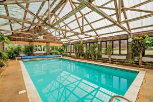 The Pekes Manor Estate - The private Swimming Pool.