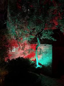 Pekes Manor at Night, on the occasion of Seth & Claire's 50th Anniversary. September 2025.