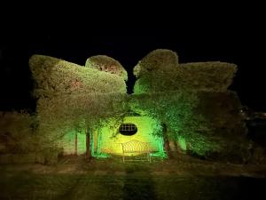 Pekes Manor at Night, on the occasion of Seth & Claire's 50th Anniversary. September 2025. The Ducks Lawn. 